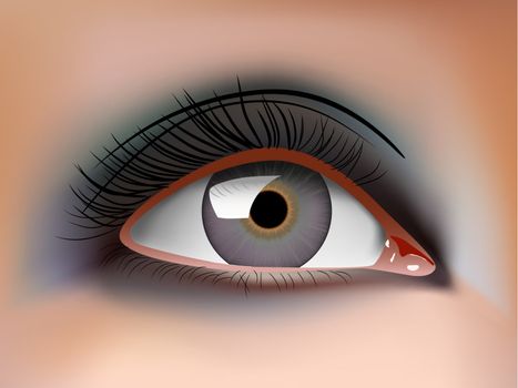 vector photo realistic woman eye