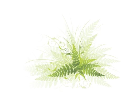 green fern as a decoration element
