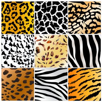 Set of nine different wild animals skin patterns 