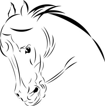 Vector illustration tattoo style sketch  horse head.