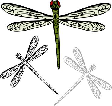 An image of a realistic dragonfly.