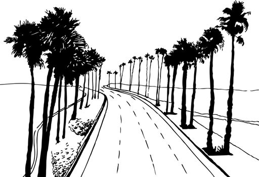 Hand drawn image of costal highway with palm trees.