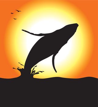 A humpback whale silhouette jumping at sunset. Editable vector illustration.