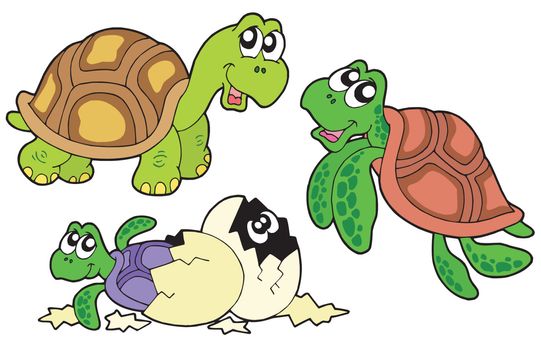 Turtles collection on white background - vector illustration.
