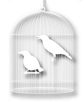 Editable vector illustration of a pair of caged myna birds with background shadow made using a gradient mesh