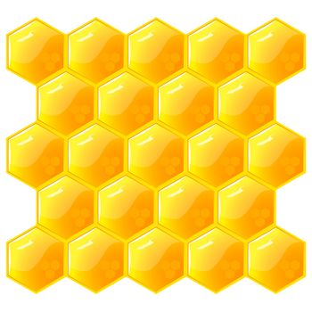 Honeycomb, isolated on the white. Vector. EPS8