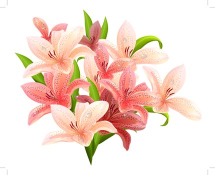 Big bunch of lilies isolated on white background