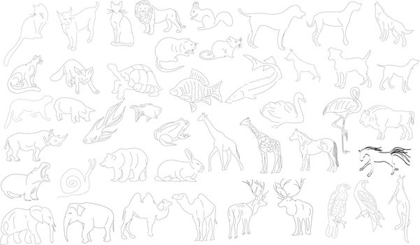 Set of vector animals, rough outlines