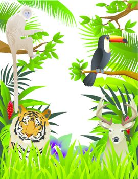Vector illustration of animal in the forest