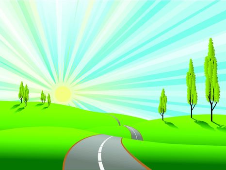 illustration landscape with green field and road