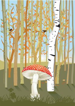 Forest with mushroom