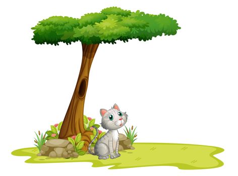 Illustration of a cat under a tree on a white background