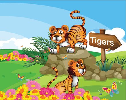 Illustration of the two tigers beside a signboard