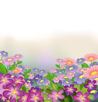 Illustration of a garden of colorful flowers on a white background