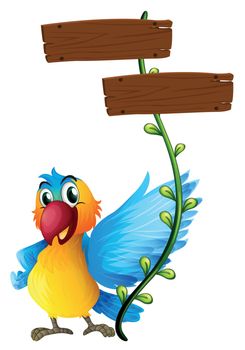 Illustration of the empty boards with a colorful parrot on a white background