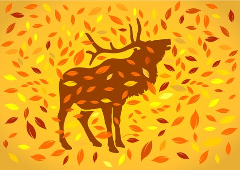 deer at autumnal