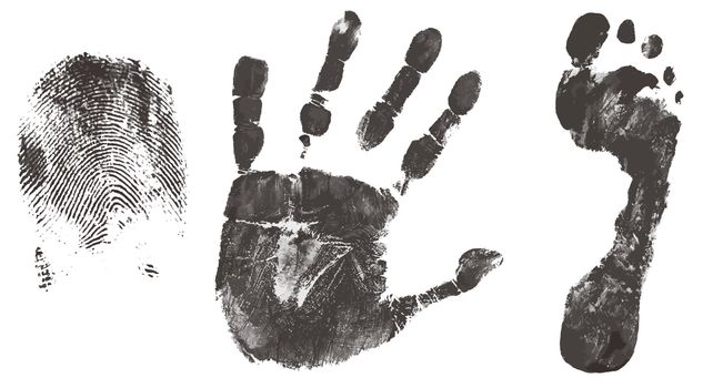Finger, hand and feet print isolated on white, vector illustration