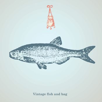 vintage fish and bag drawing
