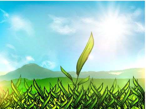 Illustration of Green Tea Plantation Over Mountain Landscape and Sun