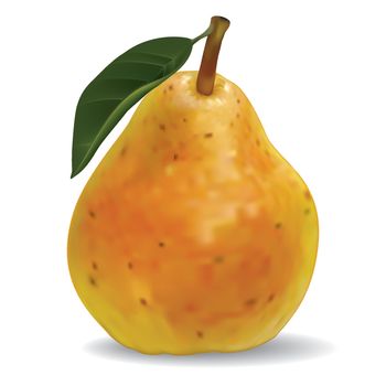 vector pear isolated on a white background