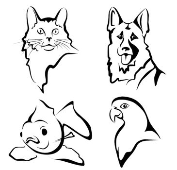 set of pets portraits in simple black lines