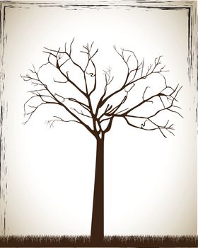 Big tree over white and old background vector illustration