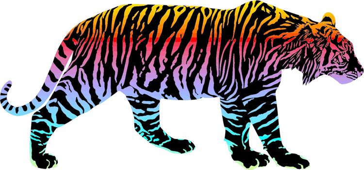Tiger with rainbow smokescreen camouflage