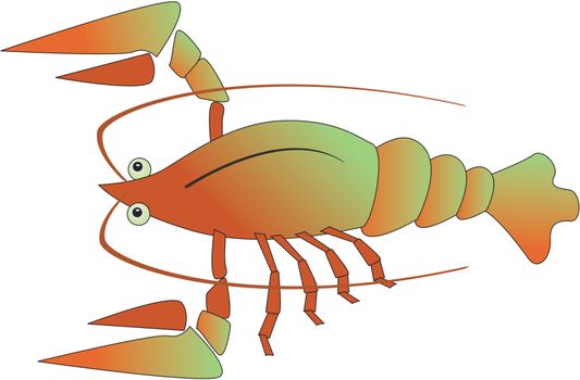 illustration of crayfish
