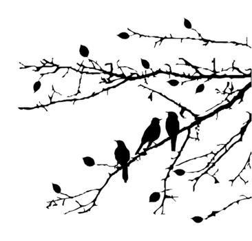 vector birds on branches