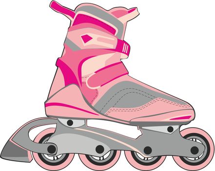 fully editable illustration of isolated roller skates