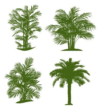 Palm tree silhouettes. Vector illustration