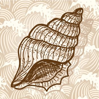 Sea shell. Original hand drawn illustration in vintage style