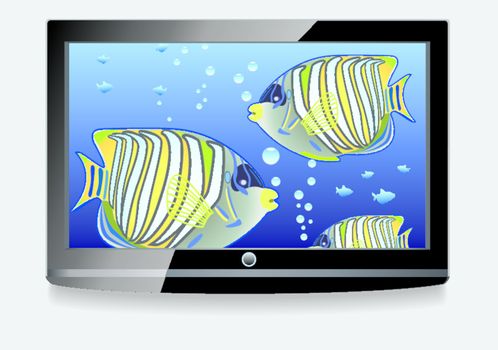 vector LCD screen with colorful fishes