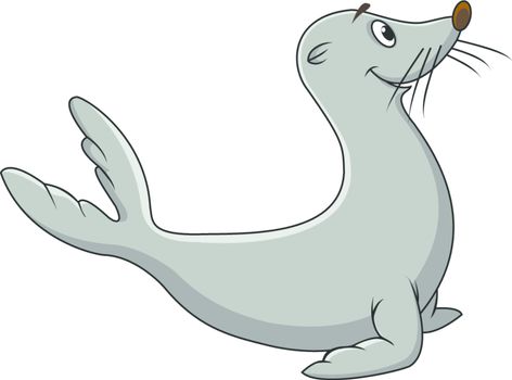 vector illustration of Seal cartoon