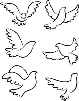 vector illustration of Dove collection