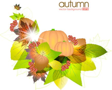 Pumpkins with fall leaves on white background