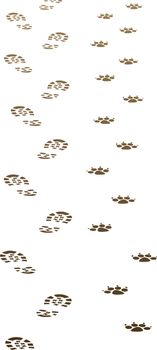 vector dirty foot prints of man and dog
