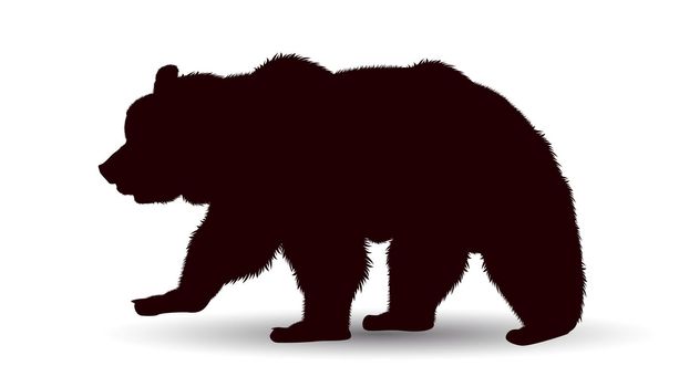Silhouette of a large adult bear on a white background.