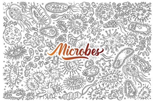 Hand drawn different bacteria and viruses. Concept of microbiology, cell or microbe doodle set background.