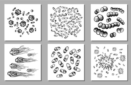 Vector Set of black sketch bacteria isolated on white backgtound. Microbe in medical therapy. Germ illness element. Hand painted bacterium for medicine concept