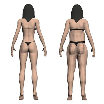 Two model girls in underwear, a slim and fat girl. The process of obesity of the girl body. Back view. 3D. Vector illustration.