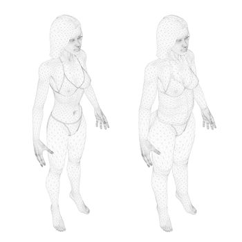 Two models of a wireframe girl in underwear, a slim and fat girl. The process of obesity of the girl body. Isometric view. 3D. Vector illustration.