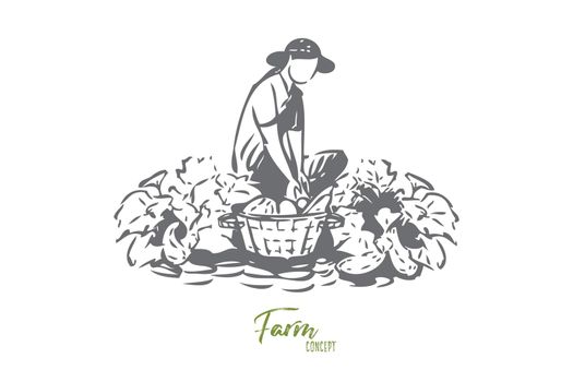 Growing vegetables concept sketch. Farming business, gardener chores, agronomy, female farmer collecting vegetarian food, natural products, rural economy banner. Isolated vector illustration