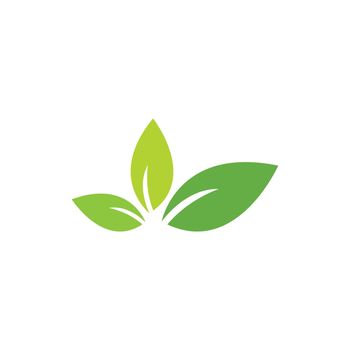 Green leaf logo ecology nature element vector