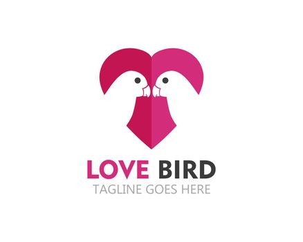 beauty lovebird logo vector icon template
