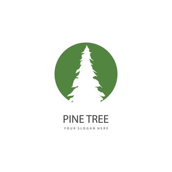 Pine tree ilustration logo vector design