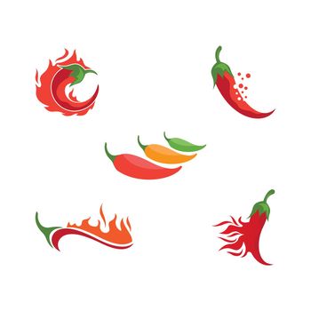 Red Chili illustration logo vector template