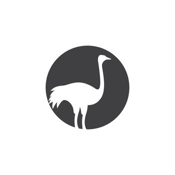 Ostrich illustration logo vector design