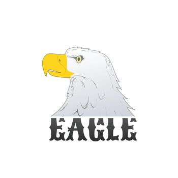 American Bald Eagle or Hawk Head Mascot Graphic, Bird facing side. T-shirt graphics. Vector illustration isolated on white