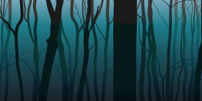 Night fog forest nature background. Vector eps10